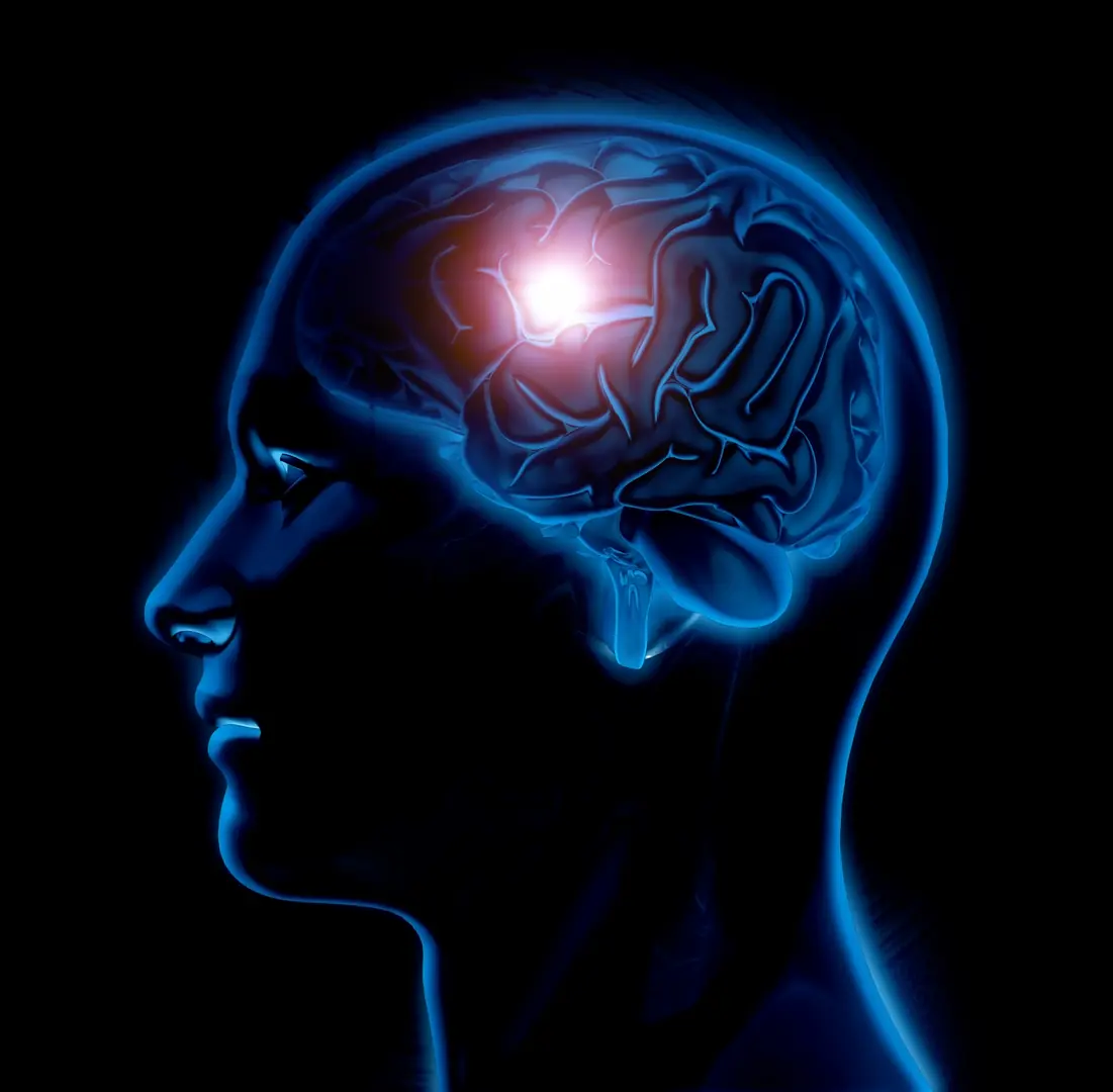 Neuroplasticidade